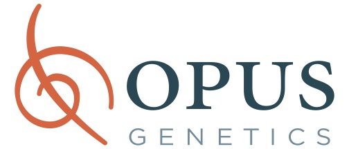 Opus Genetics Acquires Two Retinal Gene Therapy Candidates from Iveric Bio